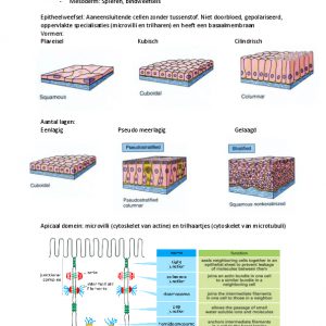 Samenvatting Celbiologie Deeltentamen 1 9780321709332