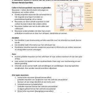 Samenvatting NLT hersenen en leren