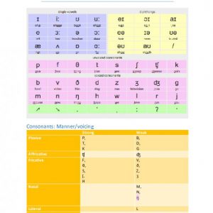 Samenvatting sounding better Phonetics 1