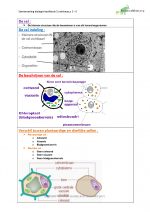 Biologie – bouw van een cel – deel 1