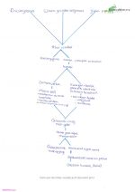 Samenvatting MEMO geschiedenis H4 tm H8 met overzicht jaartallen vwo
