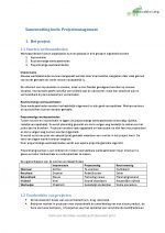 Projectmanagement